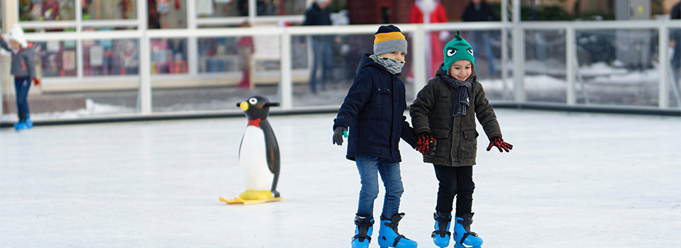 960x350iceskating.jpg?Revision=n1j1&Timestamp=C1FxFx