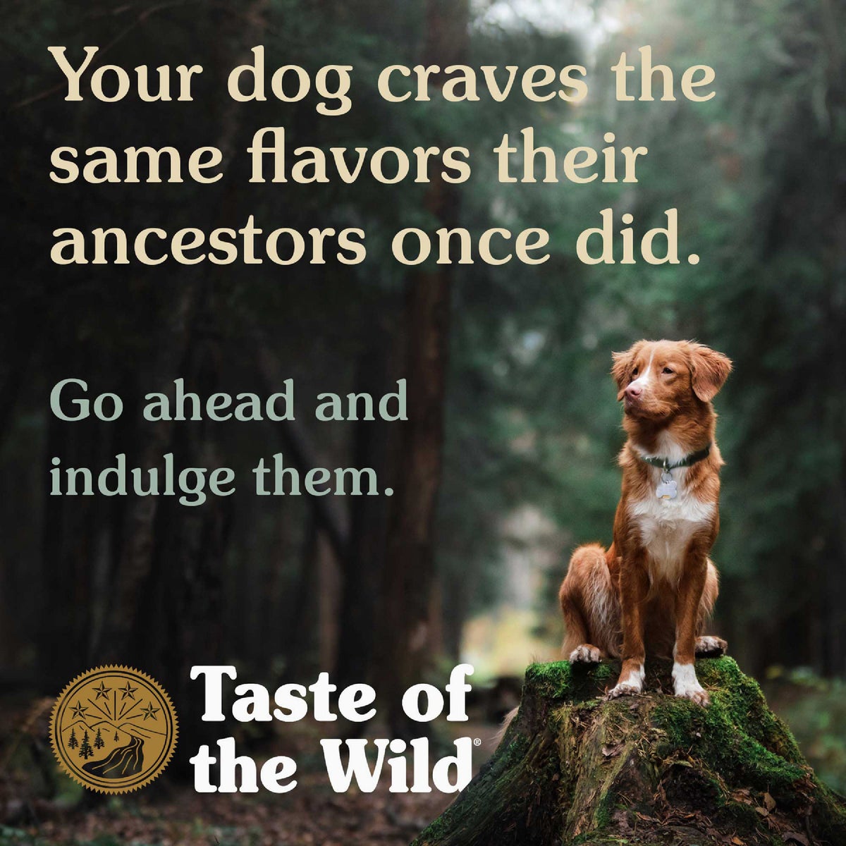 Taste Of The Wild Wetland Can Dog Food Image 4
