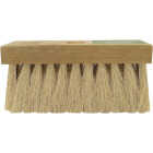7-In. Tampico Roof Brush Image 1