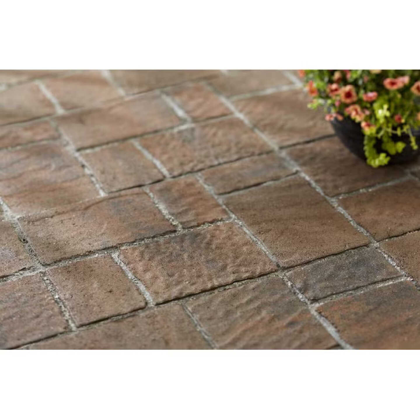 Oldcastle 16 Inch Four Cobble Ashland Square Step Stone Image 2