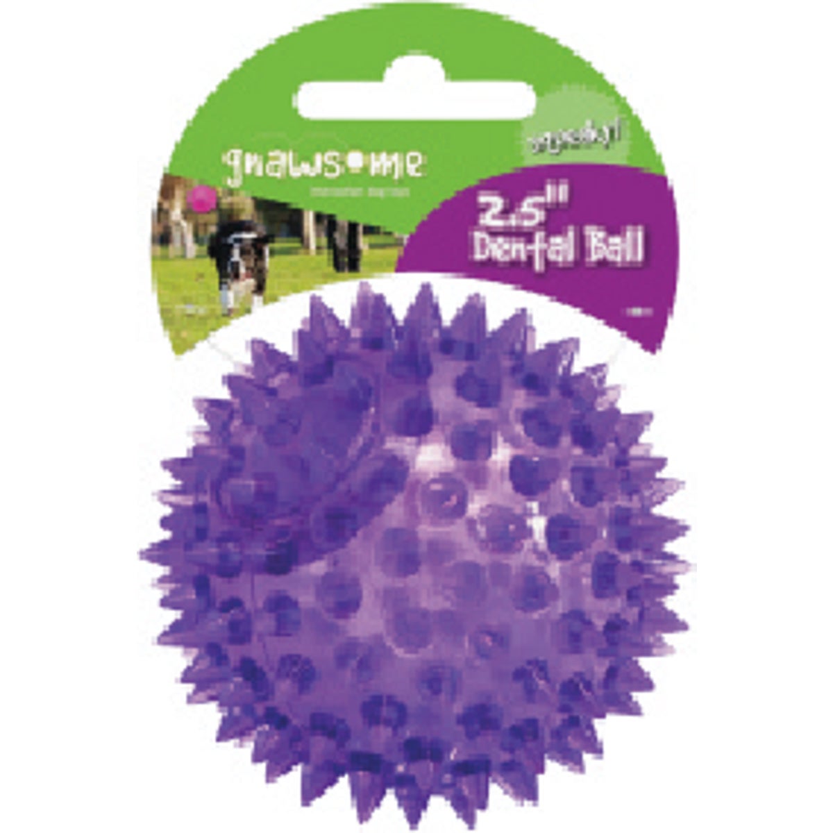 Gnawsome Squeaker Ball, Small