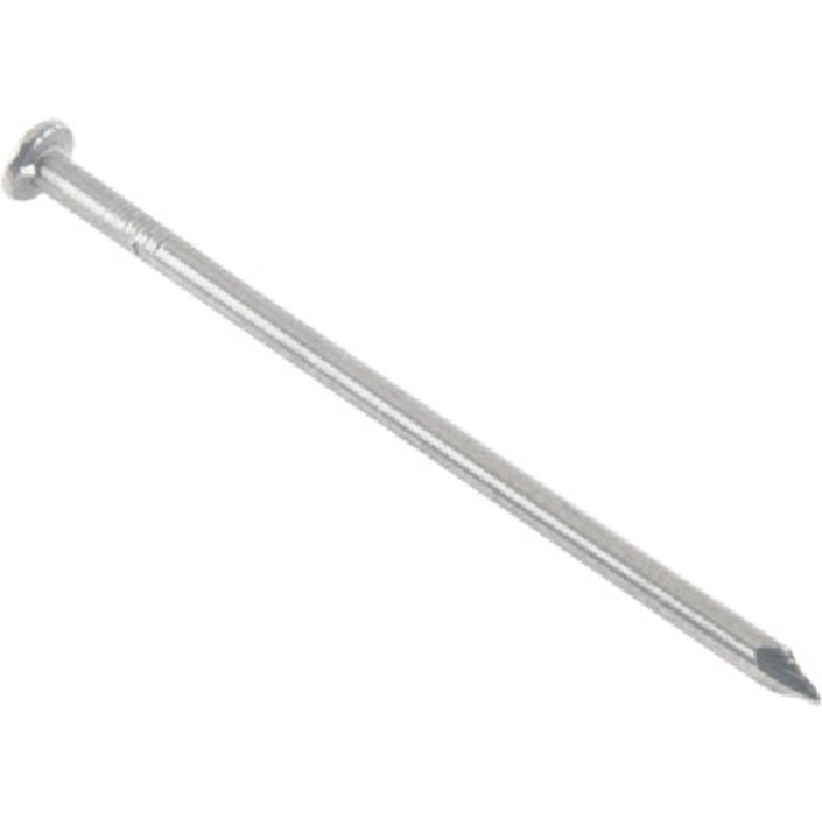 Common Bright Nail