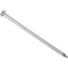 Common Bright Nail Image 1