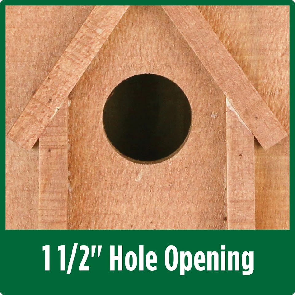 Nature’s Way Maple Country Bluebird House Image 2