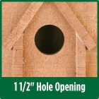 Nature’s Way Maple Country Bluebird House Image 2