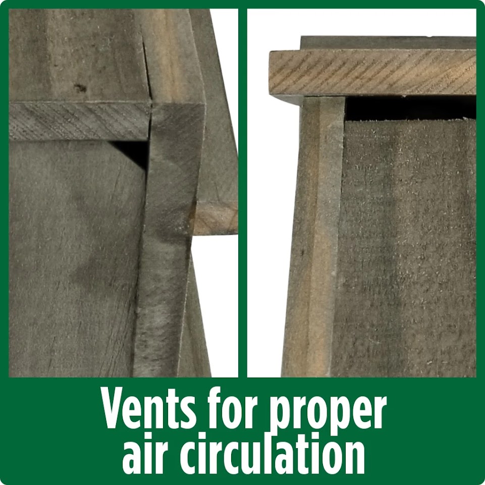 Nature’s Way Walnut Country Bluebird House Image 4