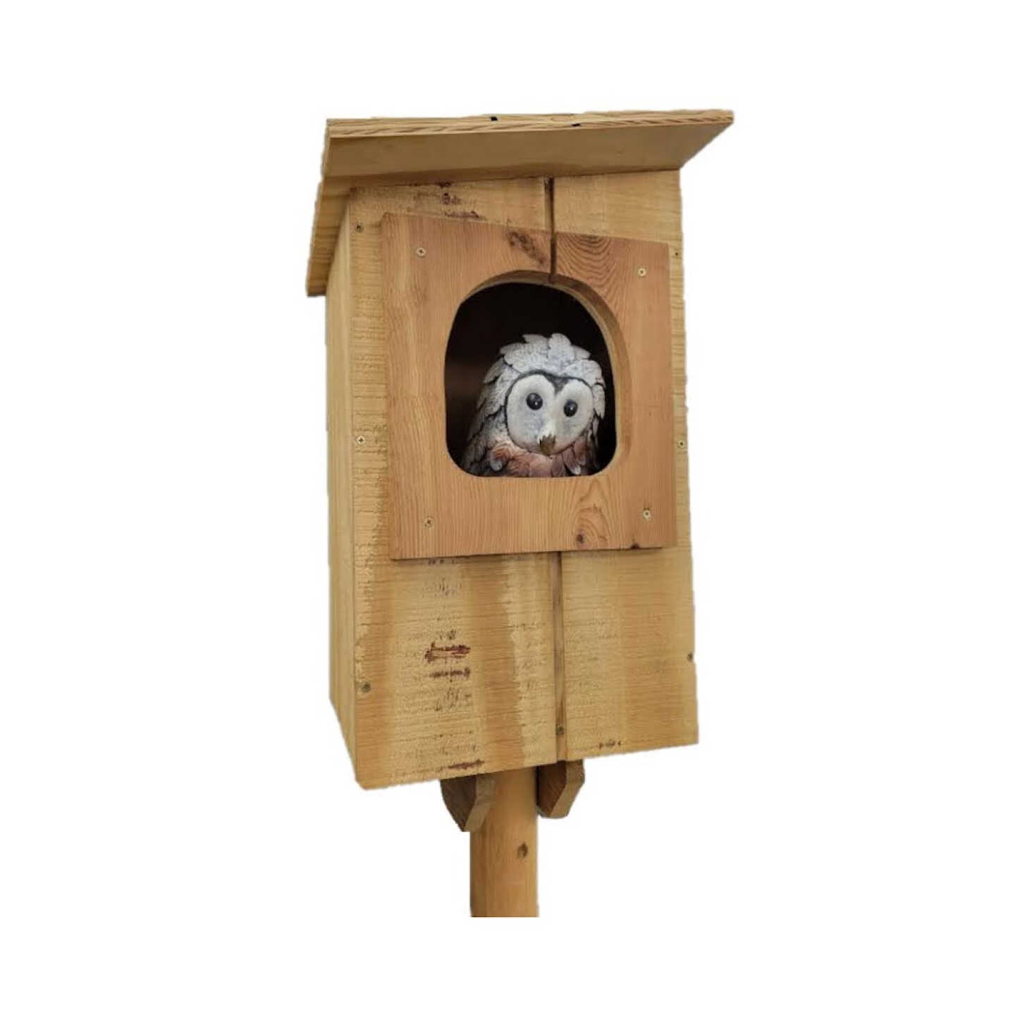 Stovall Products Barred Owl Nesting Box 6HB Image 1