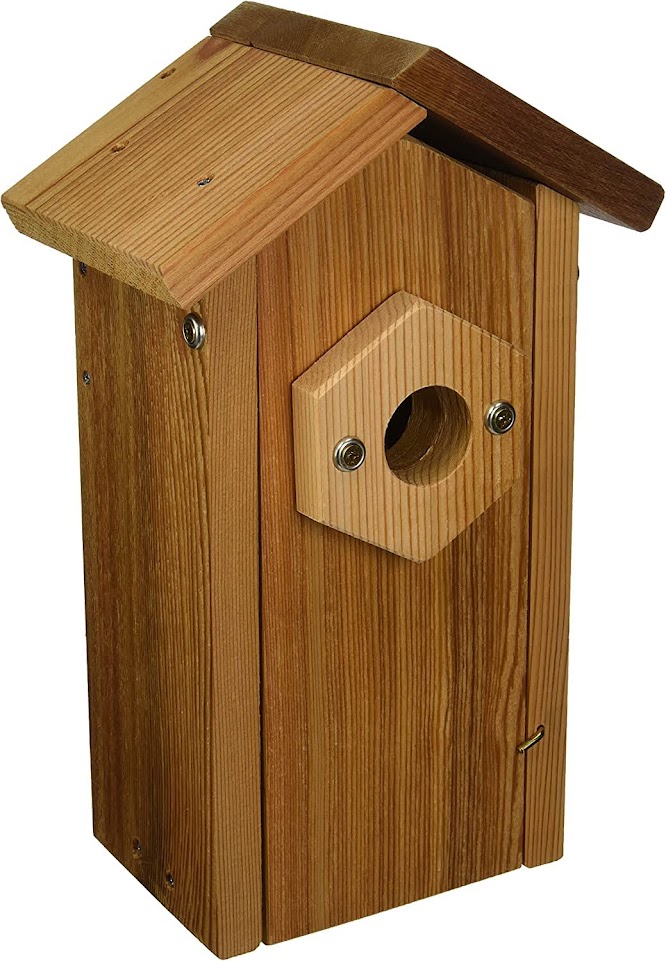 Stovall Products Cedar Window Viewing Nest Box with Suction Cups 2HV