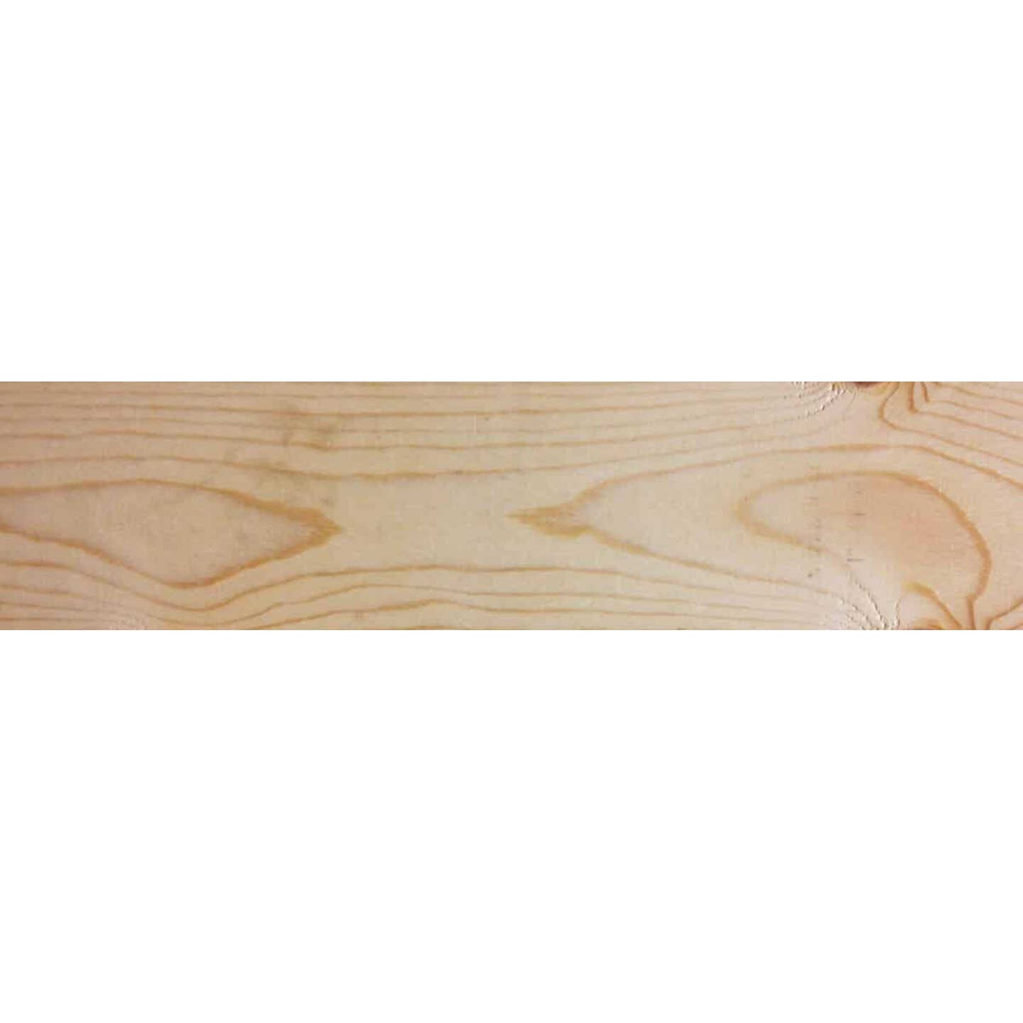 1 In. x 4 In. x 10 Ft. Appearance Grade Ground Contact Treated Lumber
