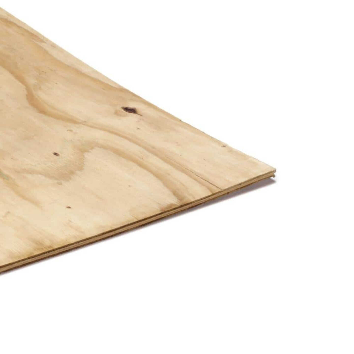 3/4 In. x 4 Ft. x 8 Ft. CDX Ground Contact Treated Plywood Image 1