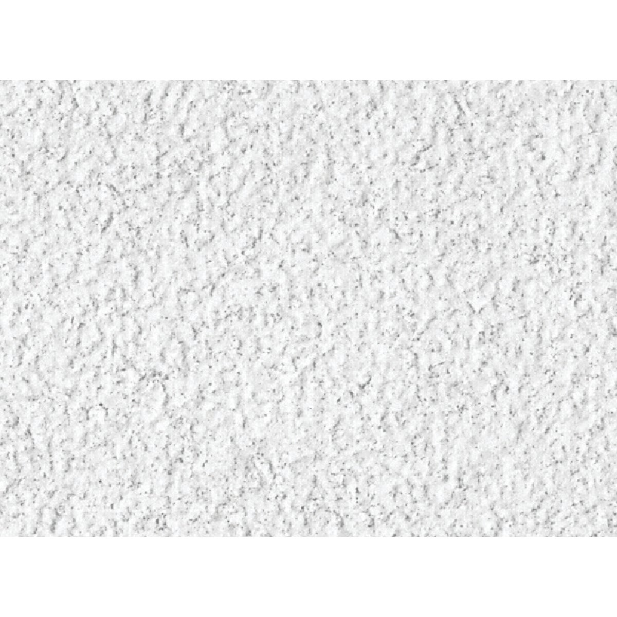 USG Eclipse 2 Ft. x 2 Ft. Mineral Fiber Suspended Acoustical Ceiling Panels (12-Count) Image 3