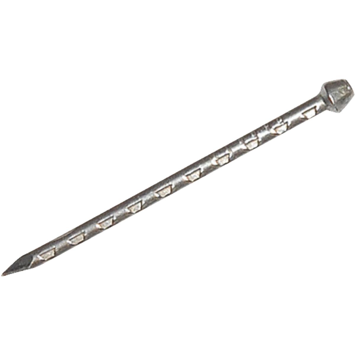 1 LB LACQUER STEEL NAILS