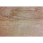 ProWood 1/2 In. x 24 In. x 24 In. Birch Plywood Image 1