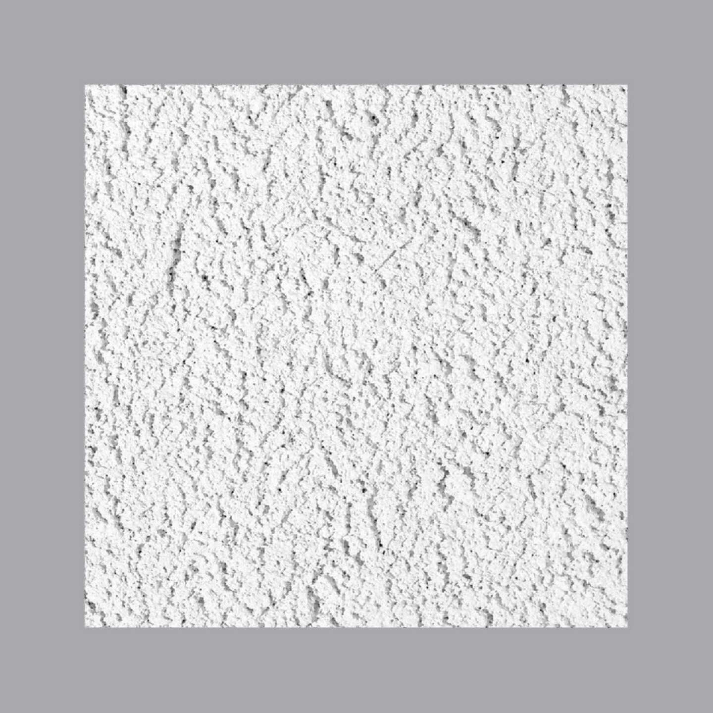 USG Glacier 2 Ft. X 2 Ft. Basic Acoustical Ceiling Panels (8-Count) Image 1