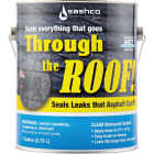 Through The Roof! 1 Gal. VOC Clear Cement & Patching Sealant Image 1