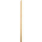 ProWood 2 In. x 2 In. x 48 In. Angled Treated Wood Baluster Image 1
