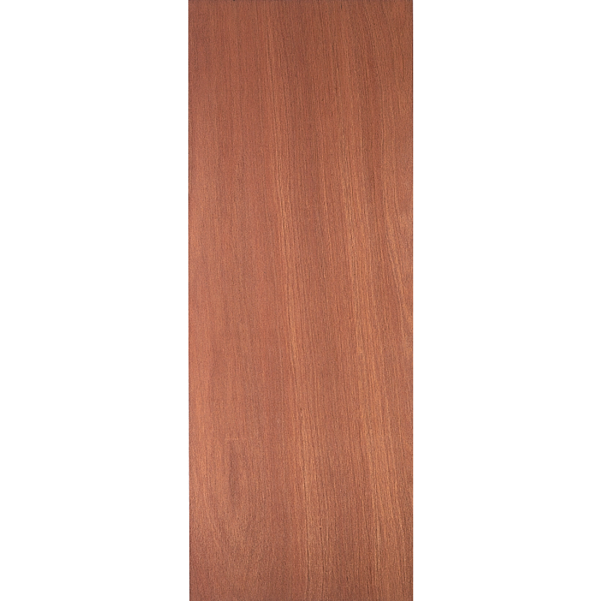 Masonite 24 In. W. x 80 In. H. Lauan Wood Interior Hollow Core Door Slab