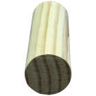 Alexandria Moulding 1-5/16 In. x 8 Ft. L. Hemlock Full Round Molding Image 1