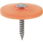 Do it Best 1-1/2 In. 12 ga Electrogalvanized Cap Nails (2500-Count, 10 Lb.) Image 1