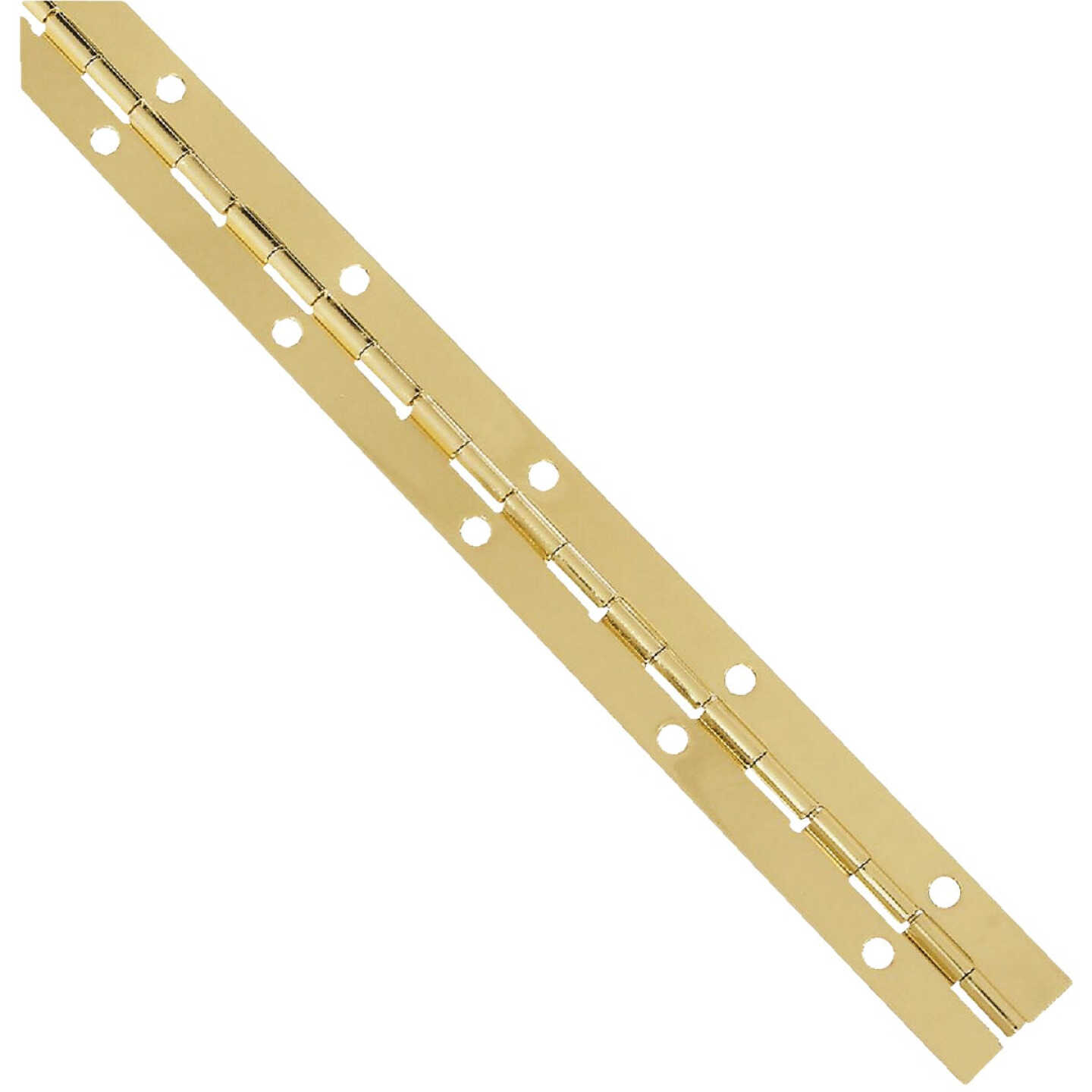 National Hardware Steel 1-1/16 In. x 12 In. Bright Brass Continuous Hinge Image 1