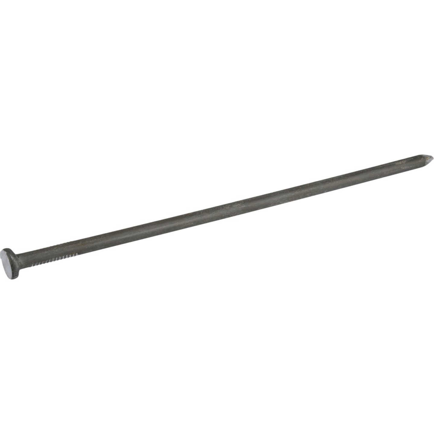Hillman Fas-n-Tite 10 In. Bright Common Spikes (15-Count) Image 2