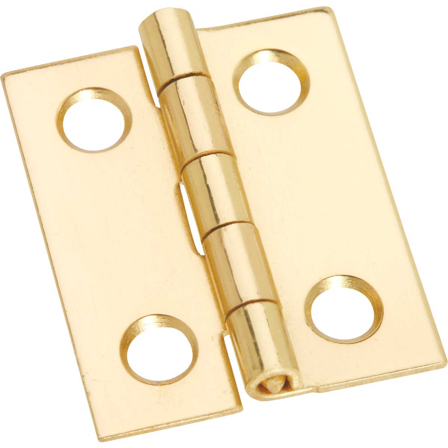 National Hardware 1 In. x 13/16 In. Medium Clear Coat Decorative Hinge Image 1