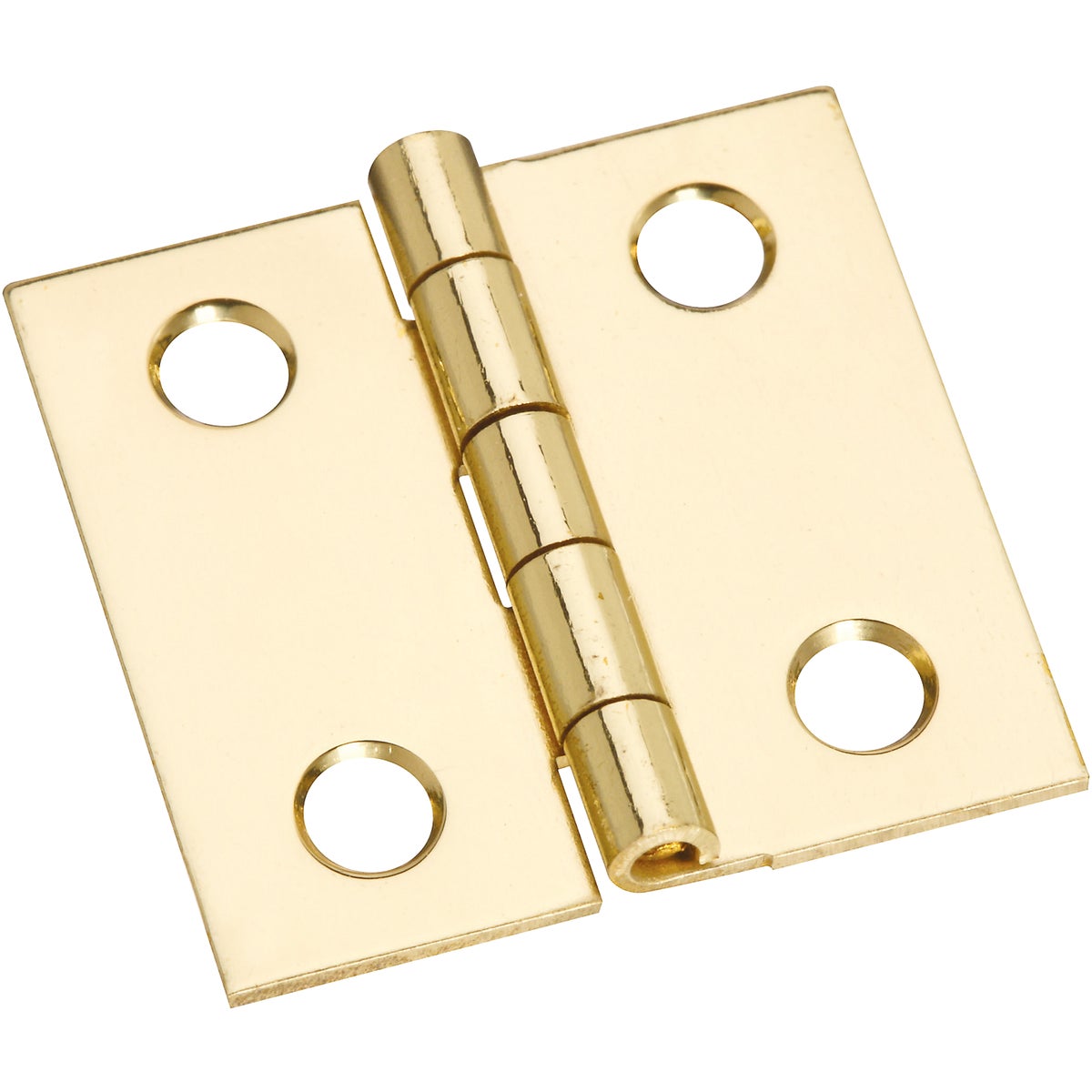 National Hardware 1 In. x 1 In. Brass Medium Decorative Hinge (4-Pack)