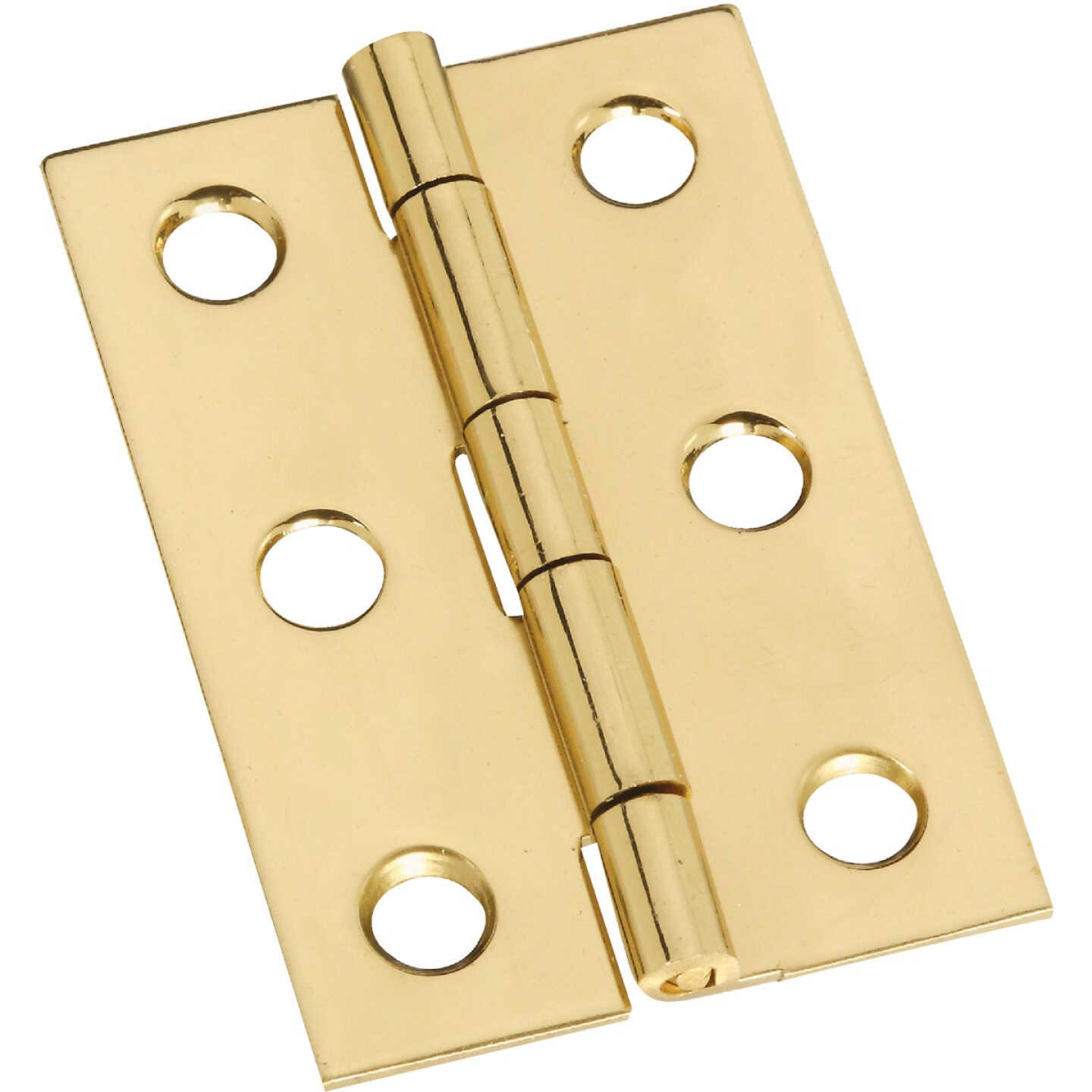 National Hardware 1-3/8 In. x 2 In. Brass Medium Decorative Hinge (2-Pack) Image 1