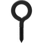 National Hardware 8 Lag Storm Shine Screw Eye (2-Count) Image 1