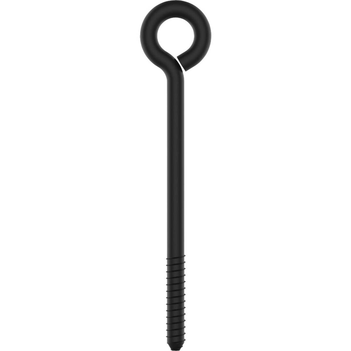 National Hardware 5/16 In. x 6 In. Storm Shine Lag Screw Eye Image 1