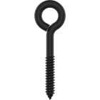 National Hardware 3/8 In. x 4-1/2 In. Storm Shine Lag Screw Eye Image 1