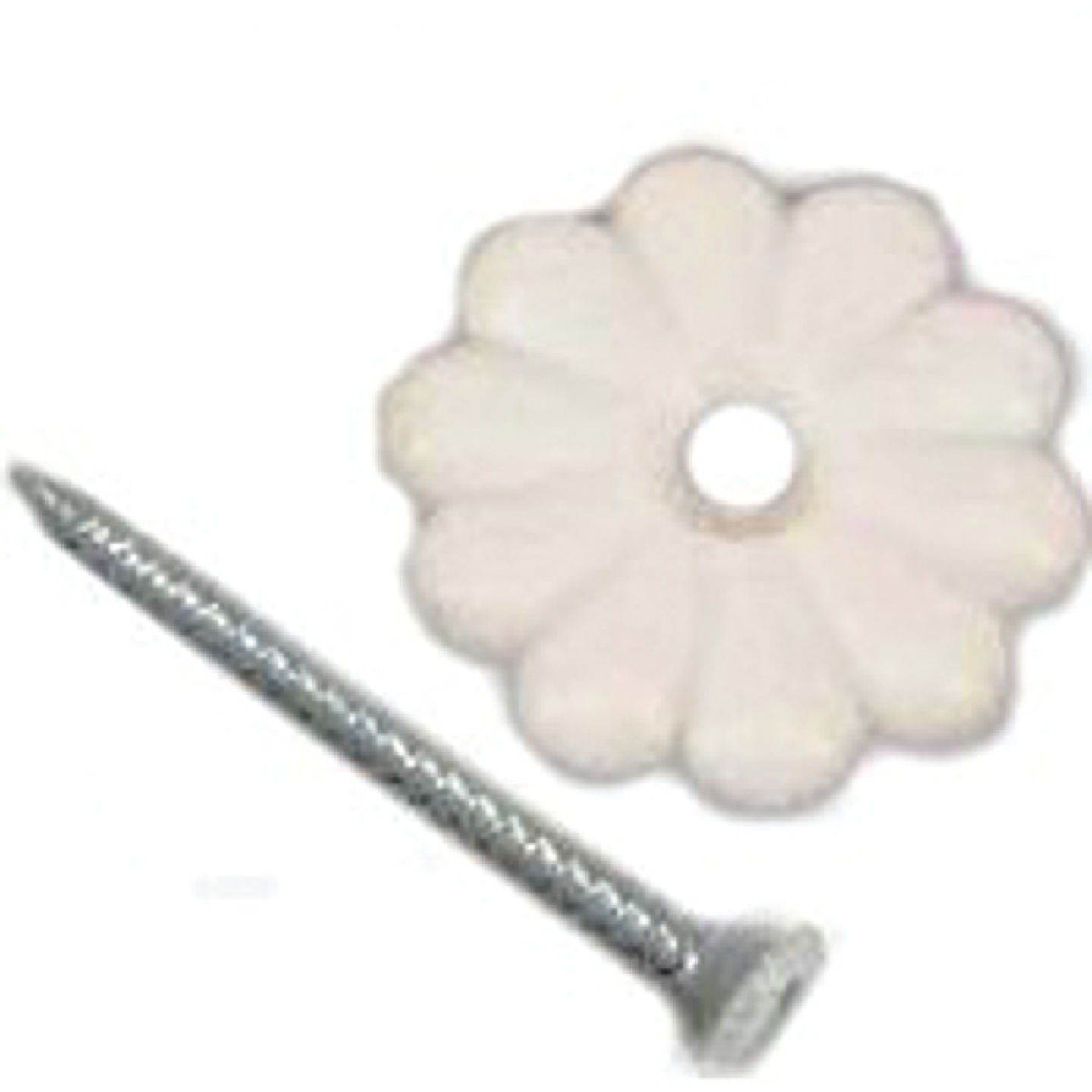 United States Hardware White Rosette with Screws (24-Count) Image 1