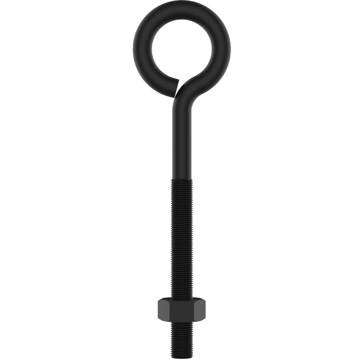 National Hardware 3/8 In. x 6 In. Storm Shine Eye Bolt with Nut Image 1