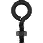 National Hardware 1/4 In. x 2 In. Storm Shine Eye Bolt with Nut Image 1