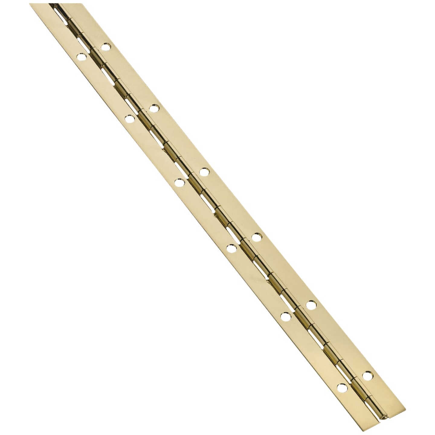 National Hardware Steel 1-1/16 In. x 48 In. Bright Brass Continuous Hinge Image 1