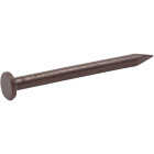 Do it Best 1-1/4 In. 12.5 ga Brown Aluminum Siding Nail (4 Oz.) Image 1