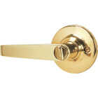 Steel Pro Polished Brass Entry Door Lever Image 1