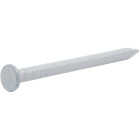 Do it Best 1-1/4 In. 12.5 ga White Aluminum Siding Nail (4 Oz.) Image 1