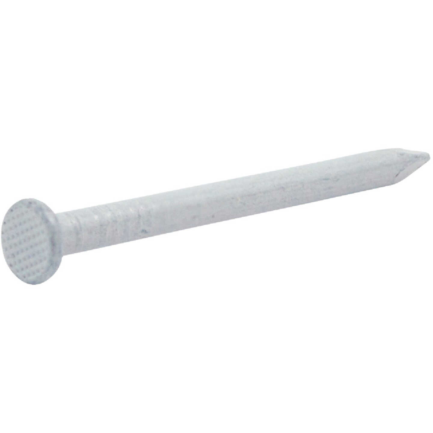 Do it Best 1-1/4 In. 12.5 ga White Aluminum Siding Nail (4 Oz.) Image 1