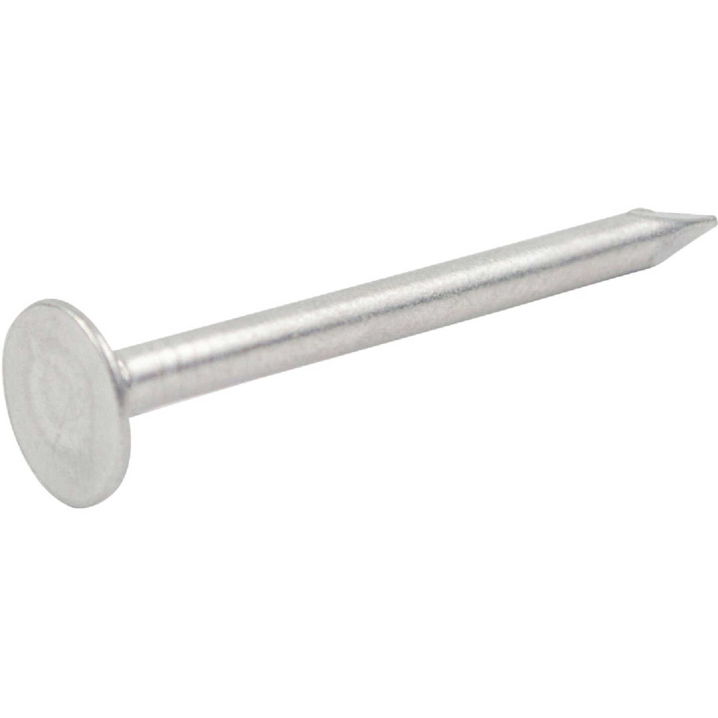 Do it Best 1-1/4 In. Aluminum Siding Nail (1 Lb.) Image 1