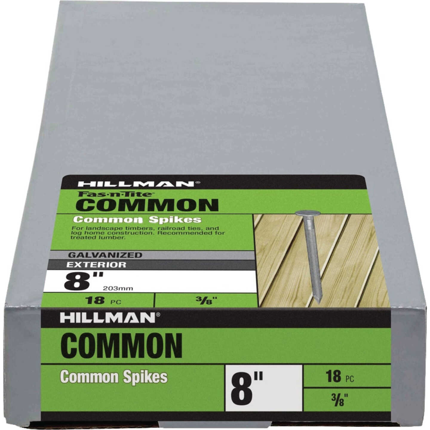 Hillman Fas-n-Tite 8 In. Hot Dipped Galvanized Common Spikes (18-Count) Image 1