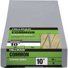 Hillman Fas-n-Tite 10 In. Hot Dipped Galvanized Common Spikes (14-Count) Image 1