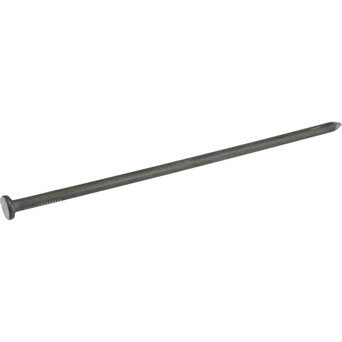 Hillman Fas-n-Tite 8 In. Bright Common Spikes (20-Count) Image 2