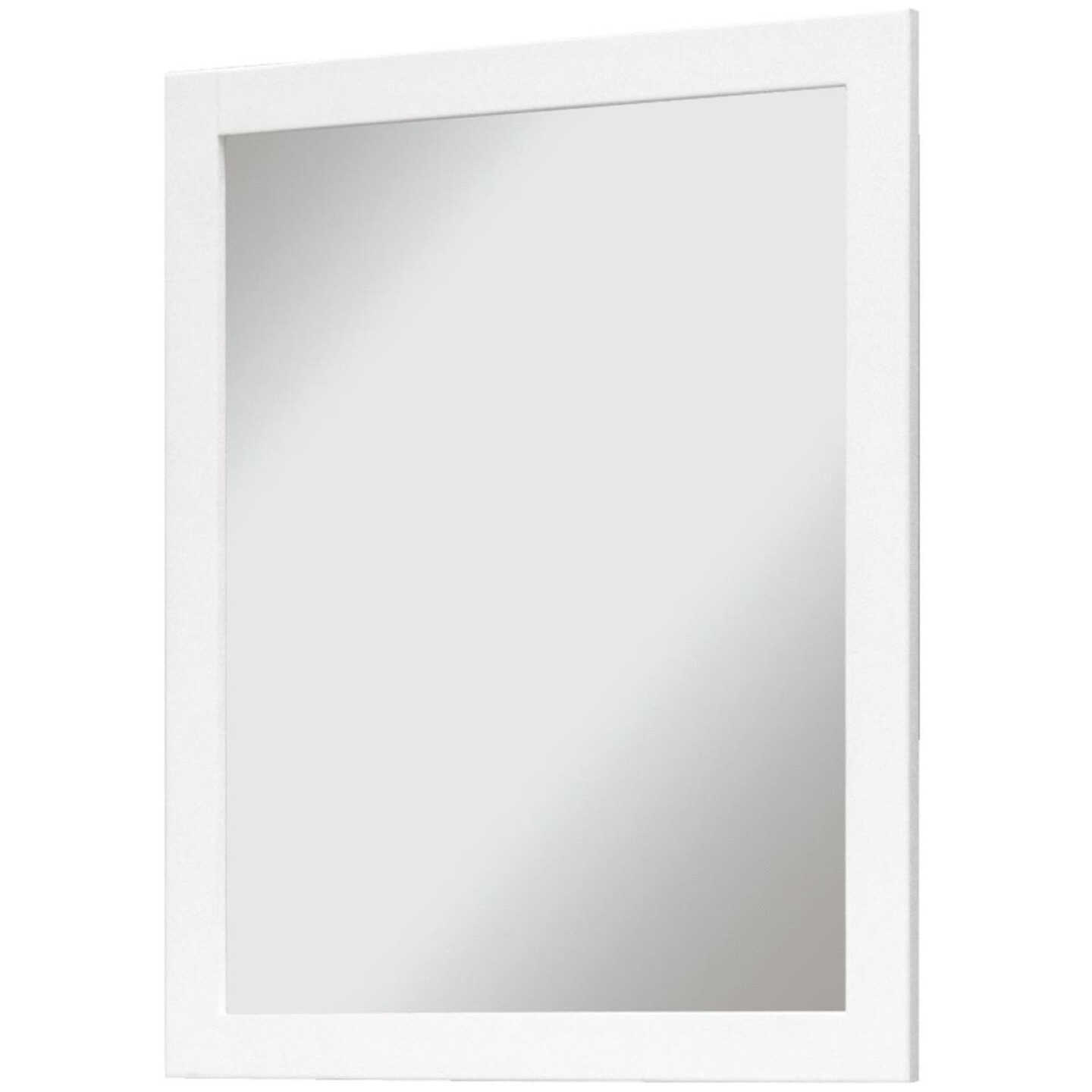 24" WHITING TAV MIRROR Image 1