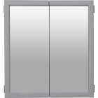 Zenna Home Gray 24 In. W x 26 In. H x 4.5 In. D Bi-View Surface Mount Framed Medicine Cabinet Image 1