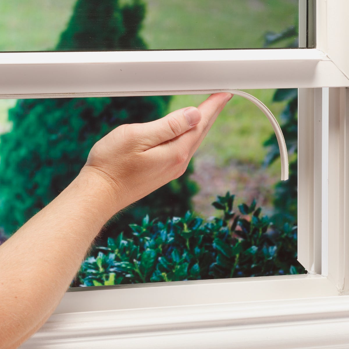 M-D Building Products 1/8 In. x 3/8 In. x 17 Ft. White Premium Rubber Window Seal for Ex-Small Gaps Image 3