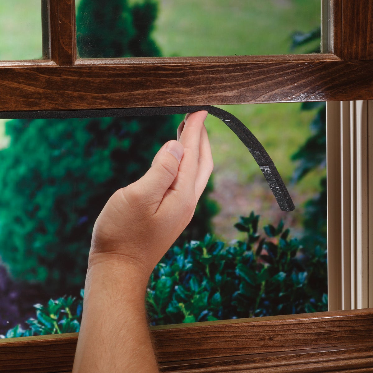 M-D Building Products 3/8 In. x 1/2 In. x 10 Ft. Black Sponge Window Seal for Large Gaps Image 3