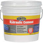 Damtite 10 Lb. Pail Hydraulic Cement Image 1