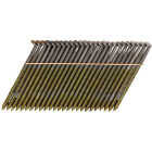 Bostitch 28 Degree Wire Weld Coated Offset Round Head Framing Stick Nail, 3-1/4 In. x .131 In. (2000 Ct.) Image 1