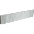Bostitch 97 Series 20 Ga. Galvanized Flooring Staple, 3/16 In. x 1 In. (5000 Ct.) Image 1